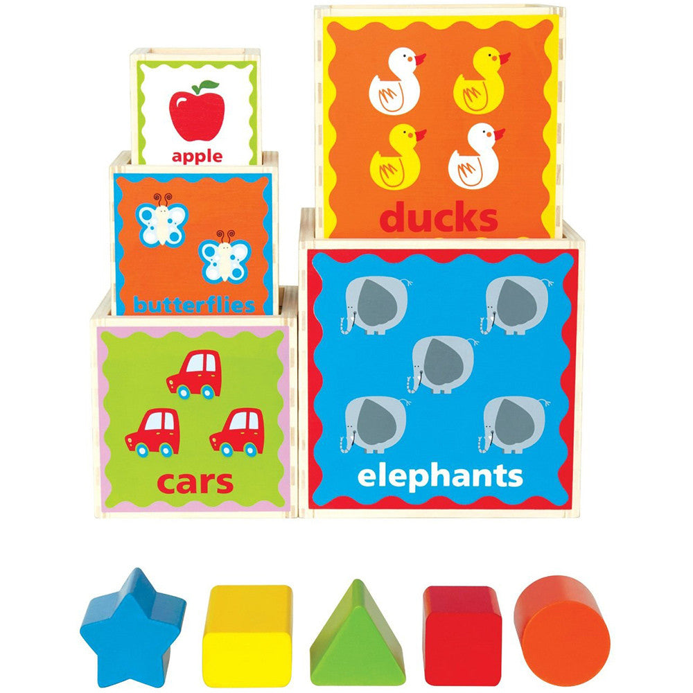 Hape Pyramid of Play - Tadpole