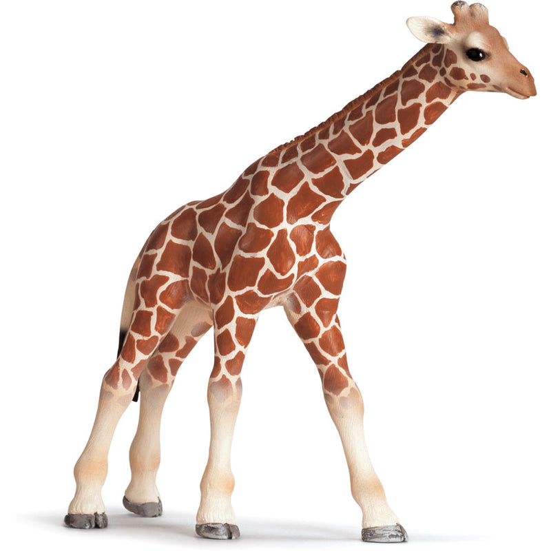 Schleich Giraffe Calf - Tadpole