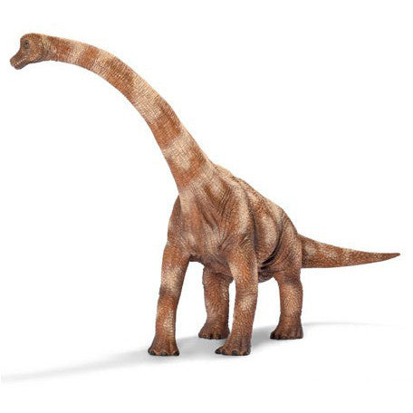 Schleich Brachiosaurus - Tadpole
