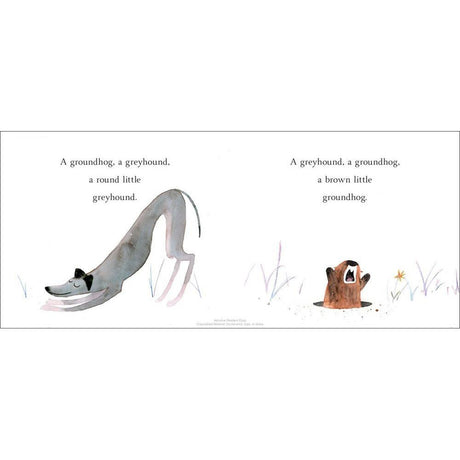 A Greyhound, A Groundhog - Tadpole