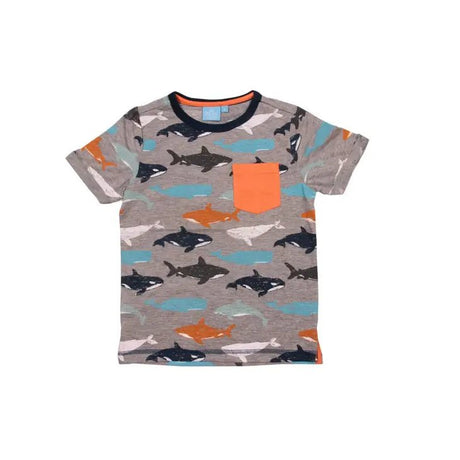 Aldo Whale Tee Toddler & Small Boy - Tadpole