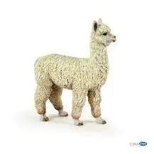 Alpaca - Tadpole