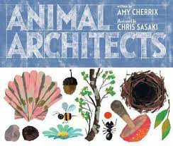 Animal Architects - Tadpole