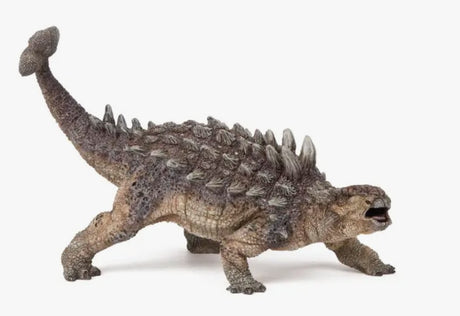 Ankylosaurus - Tadpole