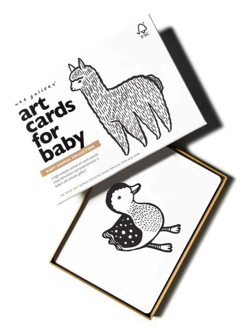 Baby Animal Art Cards - Tadpole