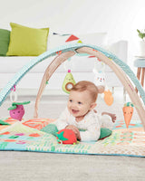 Skip Hop Farmstand Grow & Play Activity Gym - Tadpole