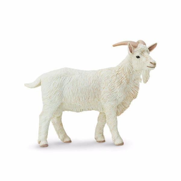 Billy Goat - Tadpole