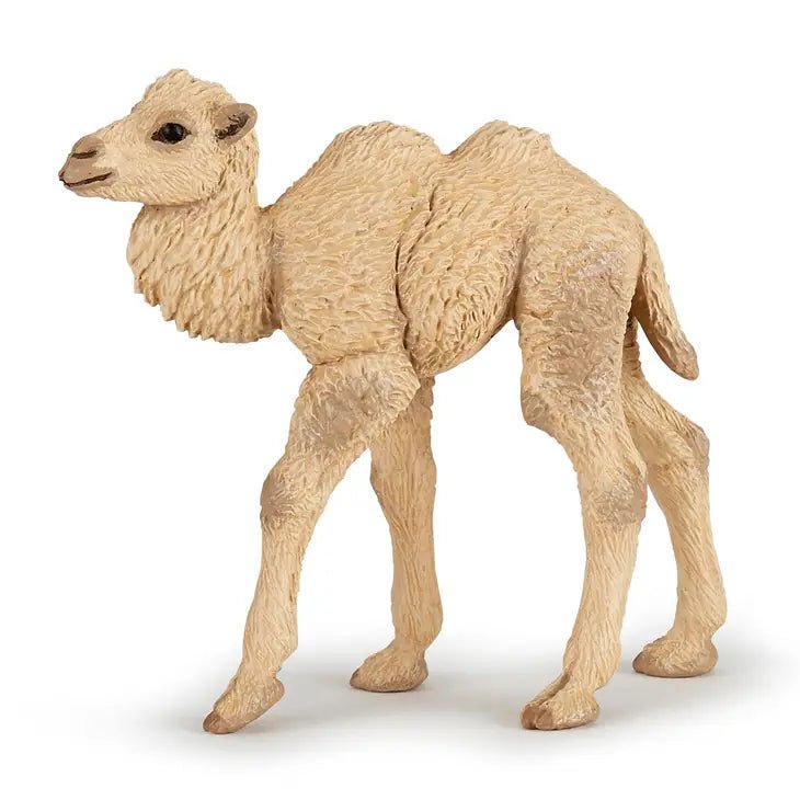 Camel Calf - Tadpole