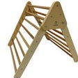 Cassaro Kids Foldable Climbing Triangle - Tadpole