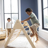 Cassaro Kids Foldable Climbing Triangle - Tadpole