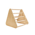 Cassaro Kids Mini Climbing Triangle - Tadpole