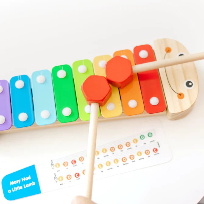 Caterpillar Xylophone - Tadpole