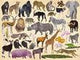 Crocodile Creek Thirty Six Animals 300pc - Tadpole