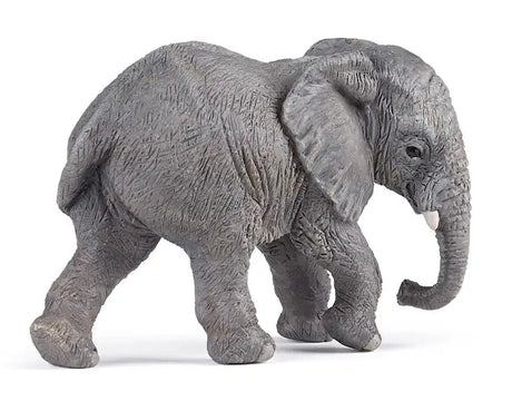 Elephant - Young African Elephant - Tadpole