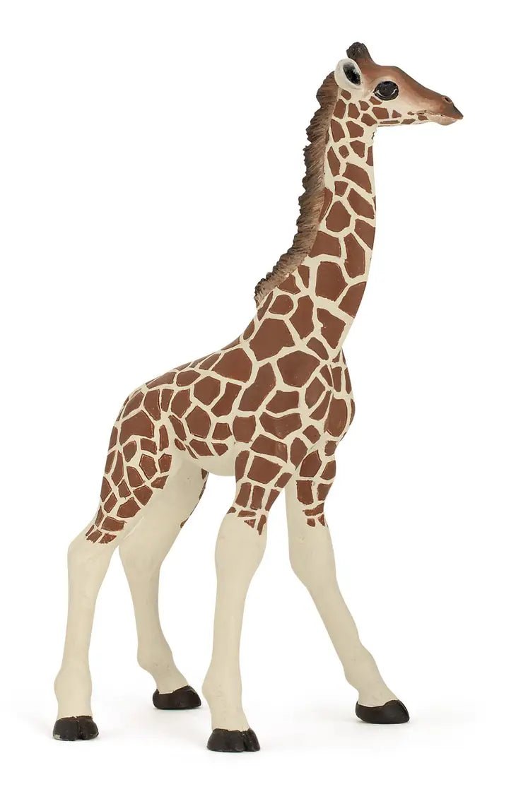 Giraffe Calf - Tadpole