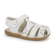 Gloria IV - White - Tadpole