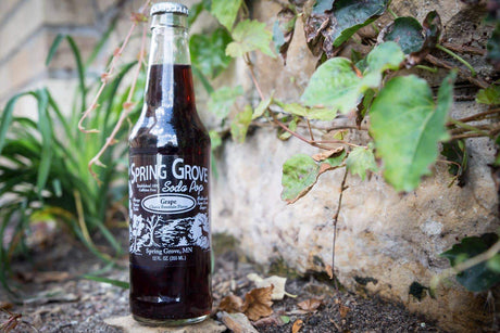 Grape Spring Grove Soda Pop - Tadpole