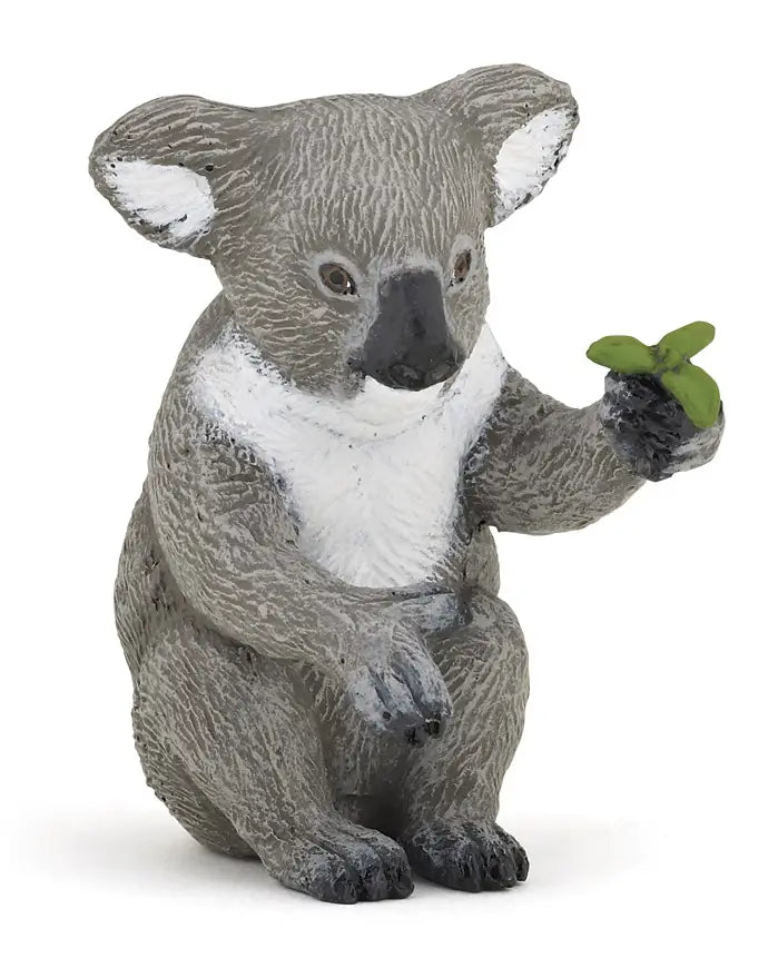 Koala Bear - Tadpole