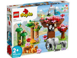 Lego Duplo Wild Animals of Asia - Tadpole