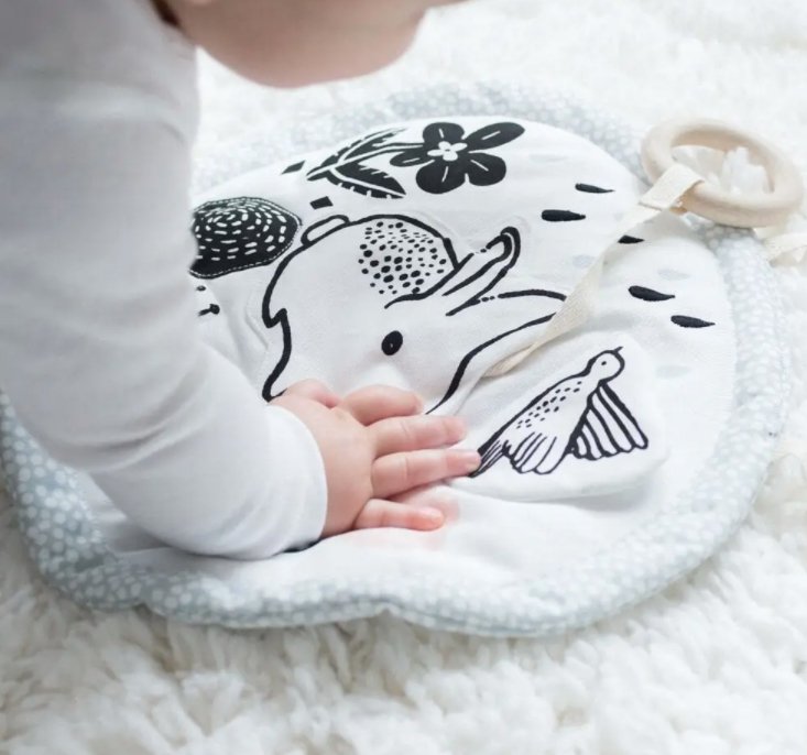 Meadow Organic Activity Pad - Tadpole