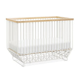 Mod Cot - Tadpole