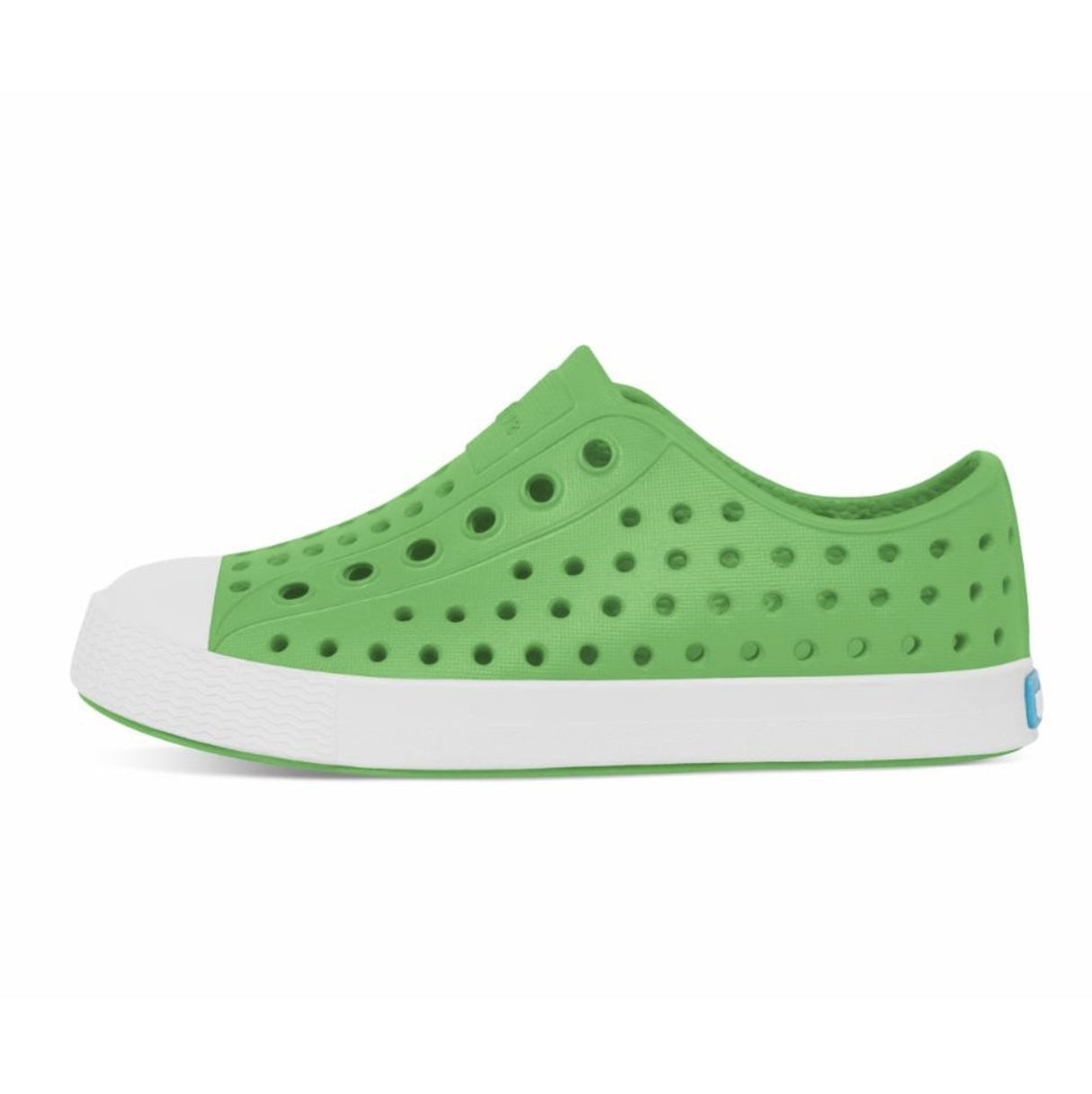 Native Jefferson Grasshopper Green - Tadpole