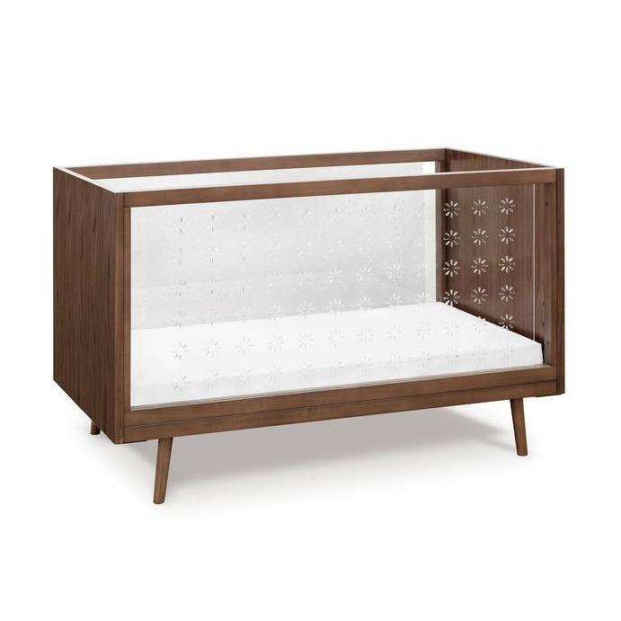 Nifty Clear in Walnut - Tadpole