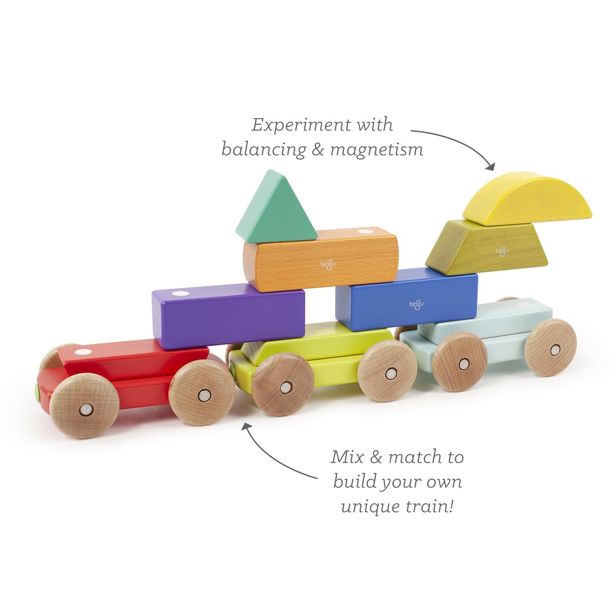 Tegu Shape Train 9pc - Tadpole