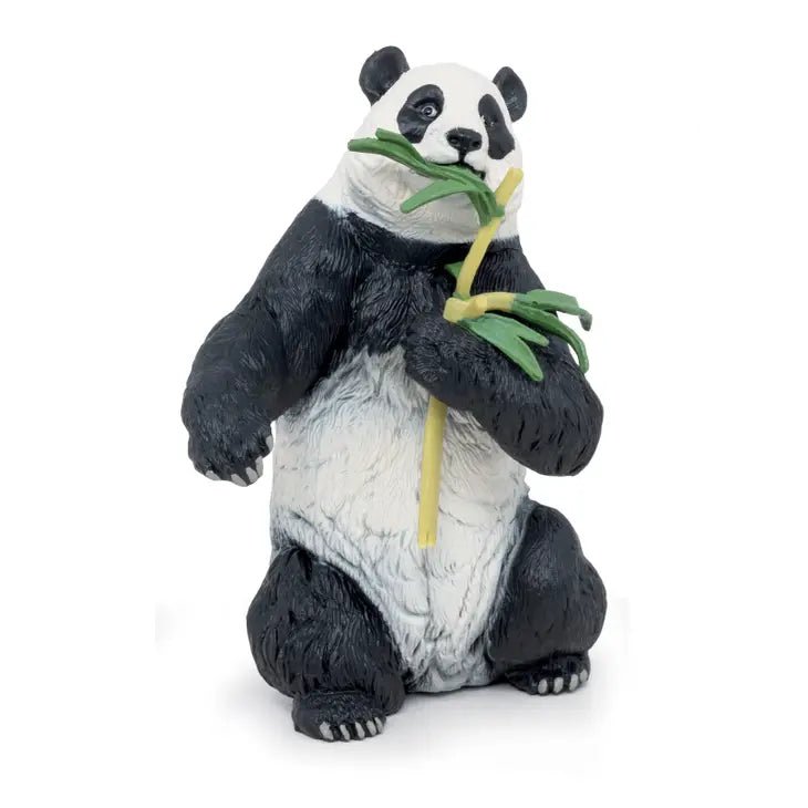 Panda With Bamboo - Tadpole