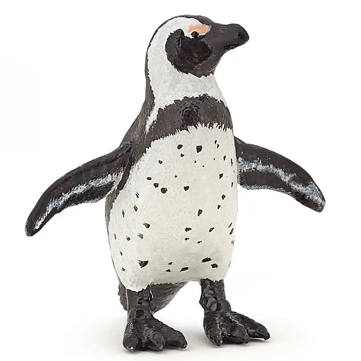 Penguin - African Penguin - Tadpole