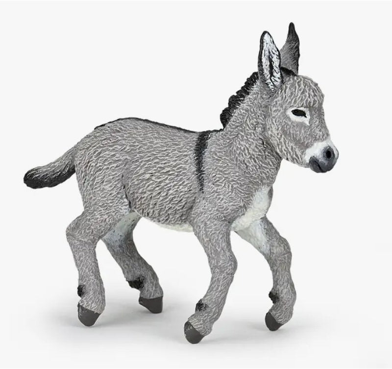 Provence Donkey Foal - Tadpole
