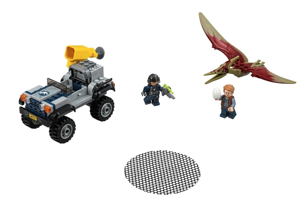 Pteranodon Chase - Tadpole