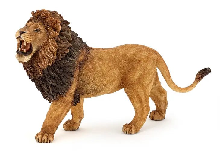 Roaring Lion - Tadpole