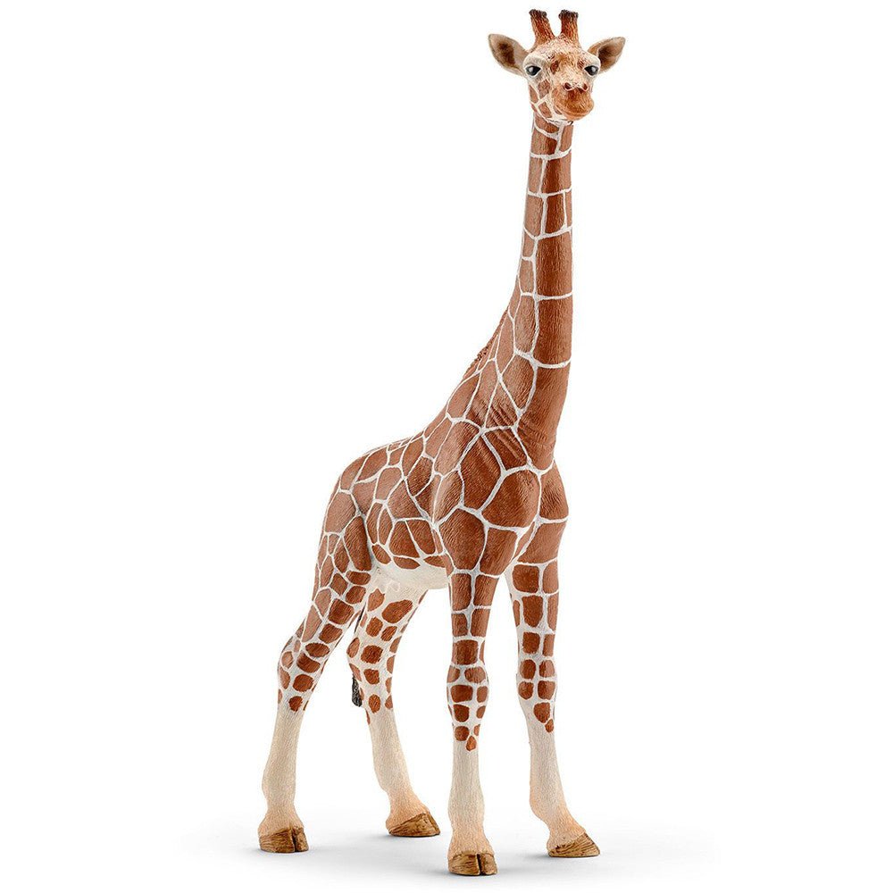 Schleich Giraffe, female - Tadpole