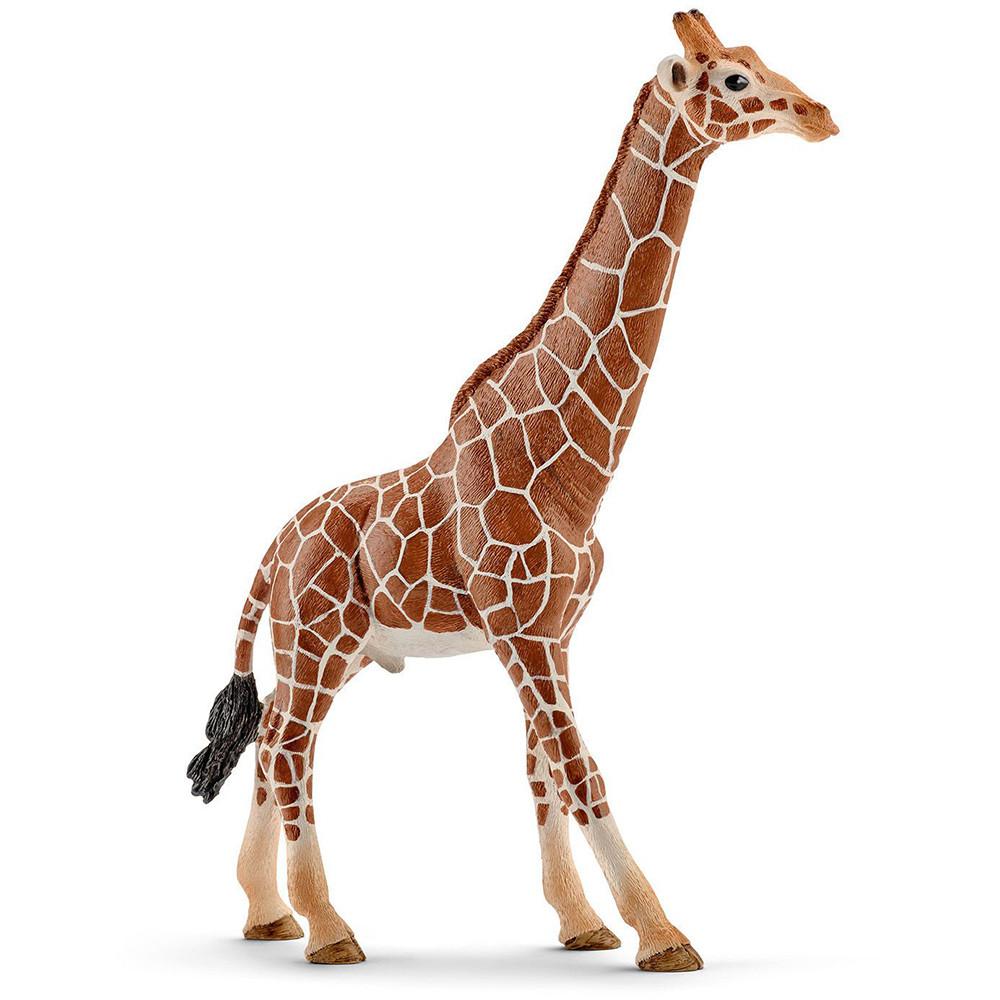 Schleich Giraffe, male