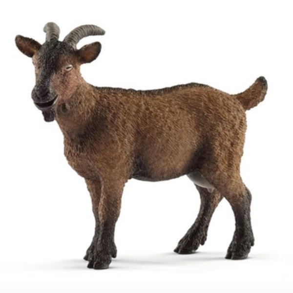 Schleich Goat - Tadpole