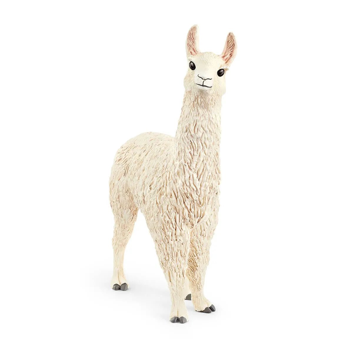Schleich Llama - Tadpole