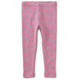 Tea Collection Striped Baby Leggings Bouquet - Tadpole