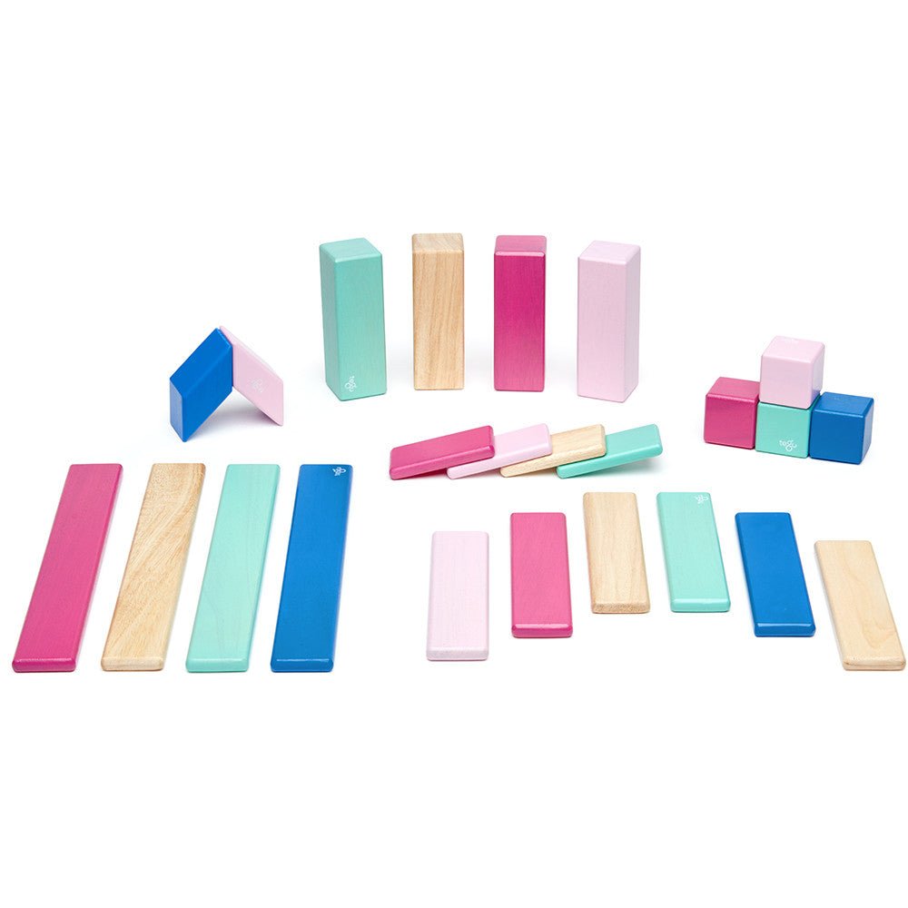 Tegu 24-Piece Magnetic Block Set - Blossom - Tadpole