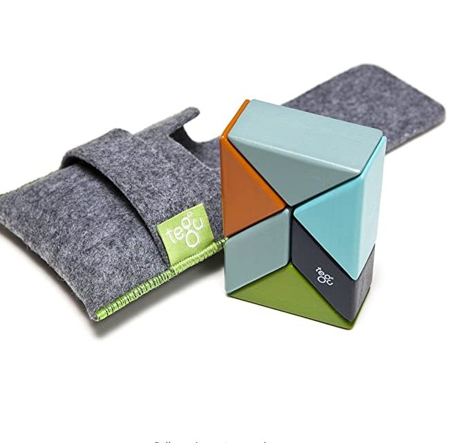 Tegu Pocket Pouch Prism Magnetic Block Set- Nelson - Tadpole