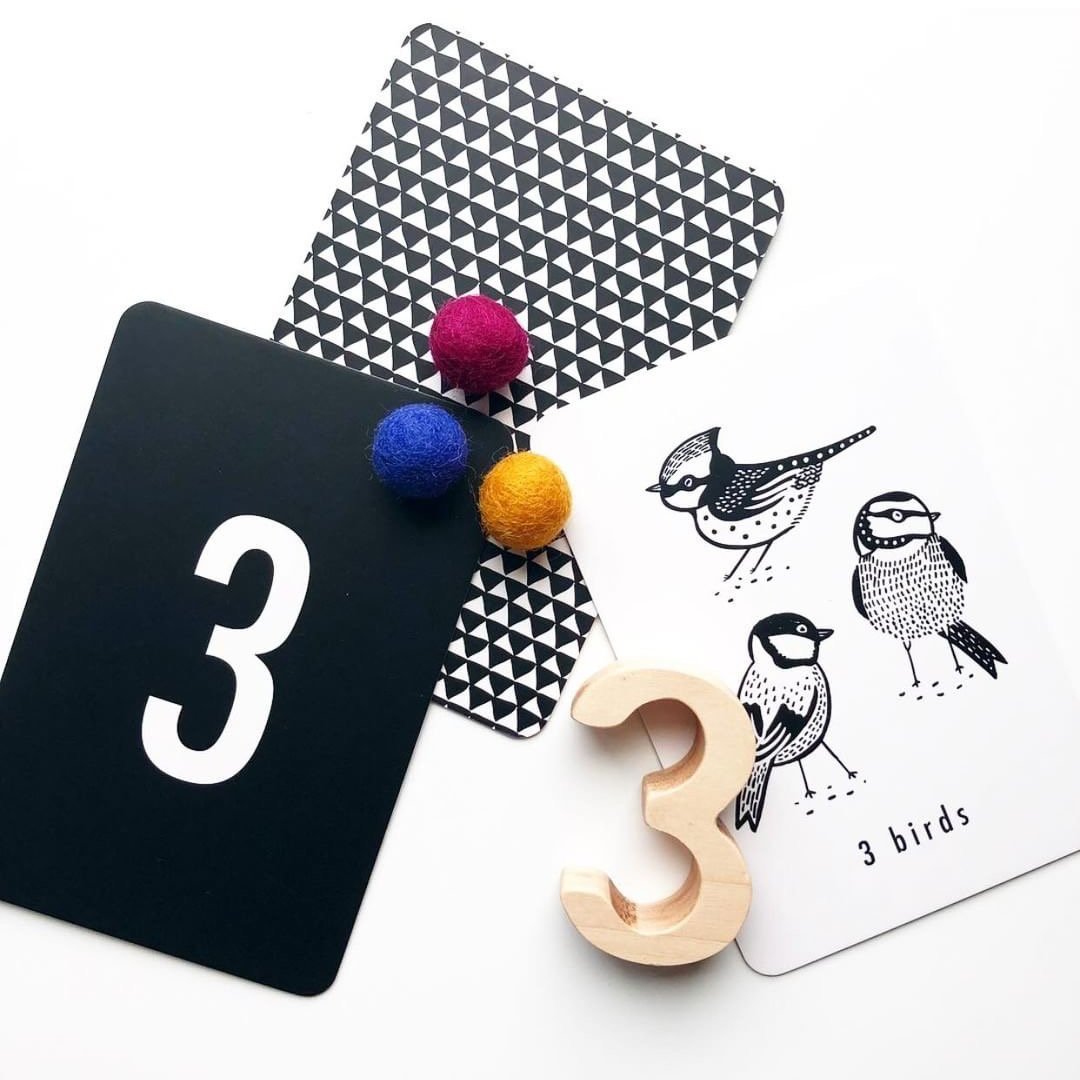 Wee Gallery Nature Number Cards - Tadpole