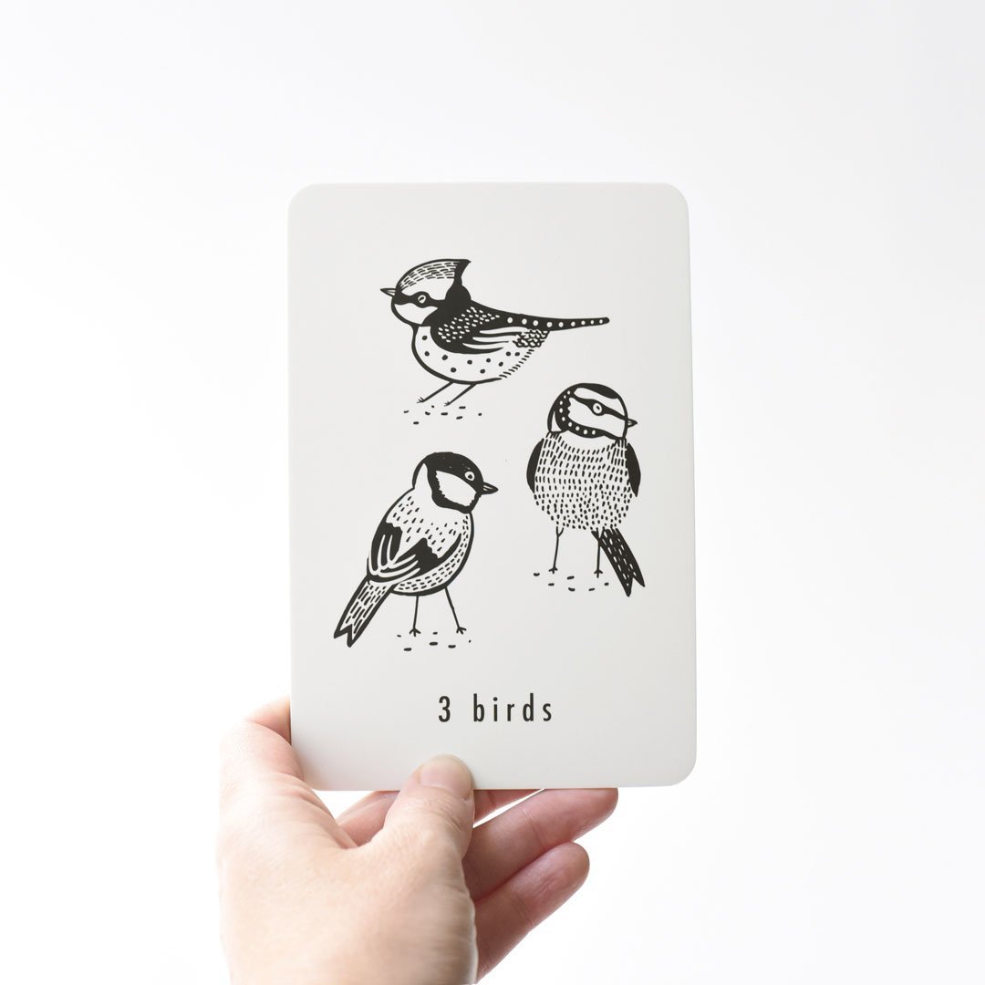 Wee Gallery Nature Number Cards - Tadpole
