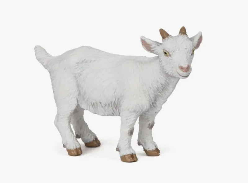 White Kid Goat - Tadpole