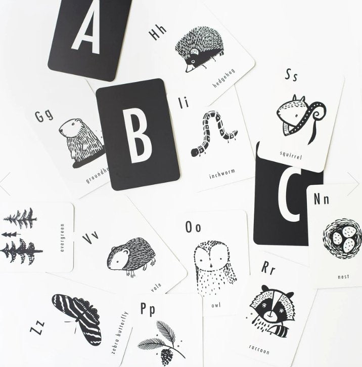Woodland Alphabet Cards - Tadpole