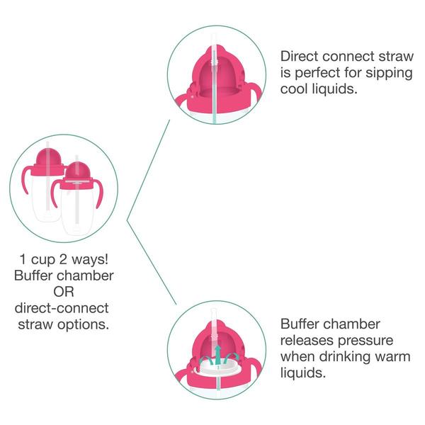 ZoLi Bot 2.0 Weighted Straw Sippy Cup - Tadpole